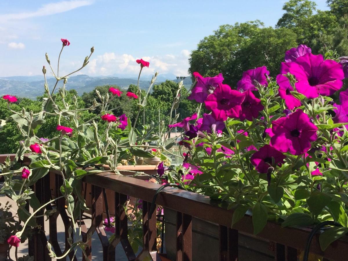 B&B Pergolesi ヴェローナ エクステリア 写真